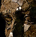 Particolare scultura di Giuseppe D'Angelo