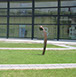 Giuseppe D'Angelo iron sculpture
