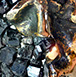 Giuseppe D'Angelo bronzo e tormalina nera