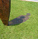 Giuseppe D'Angelo iron sculpture